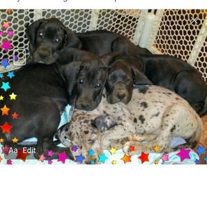 Meet your Posher, Pamela